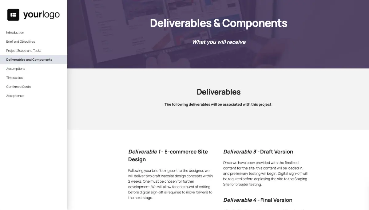 E-commerce Website Statement of Work - Deliverables